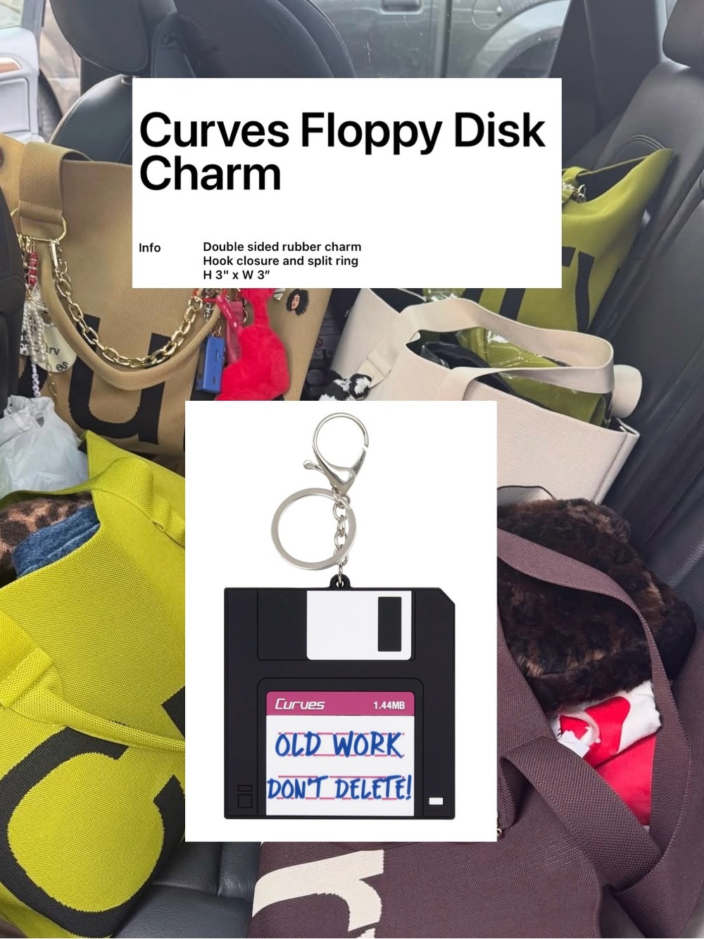Floppy Disk Charm from Curves by Sean Brown.
